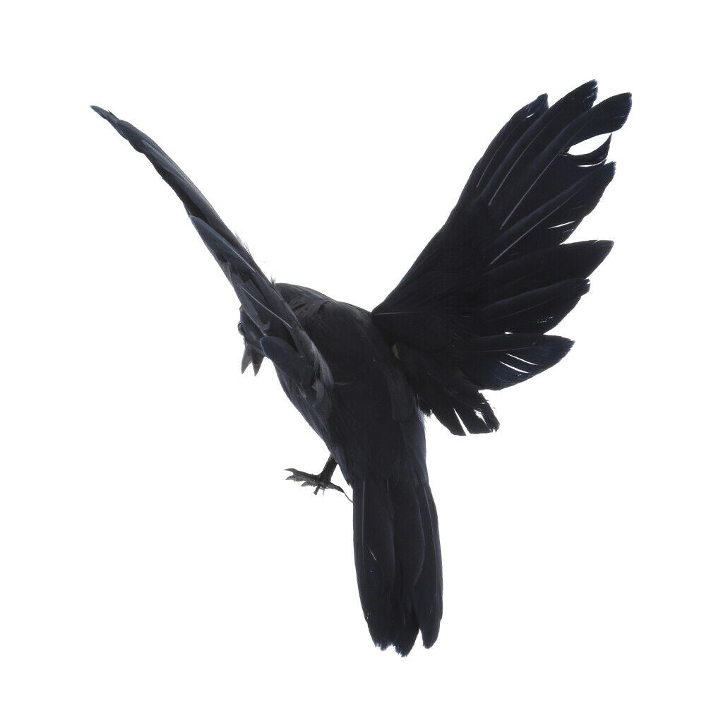 2x Plastic Artificial Feather Realistic Flying Crow Decoy Garden Repeller