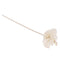5PC Red Core Plum Flower Rattan Reed Diffuser Refill Home Aromatherapy Freshener