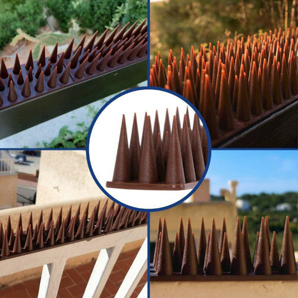 12Pcs Anti-Static Repellent Nail Anti Bird Thorn Deterrent Tool Fence Wall Spike