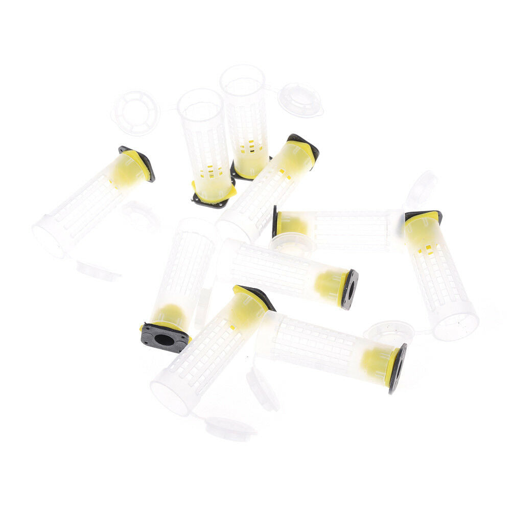 10PCS  Beekeeper Equipment Tool Beekeeping Rearing Cup Kit Queen Bee Cages!eJCDD