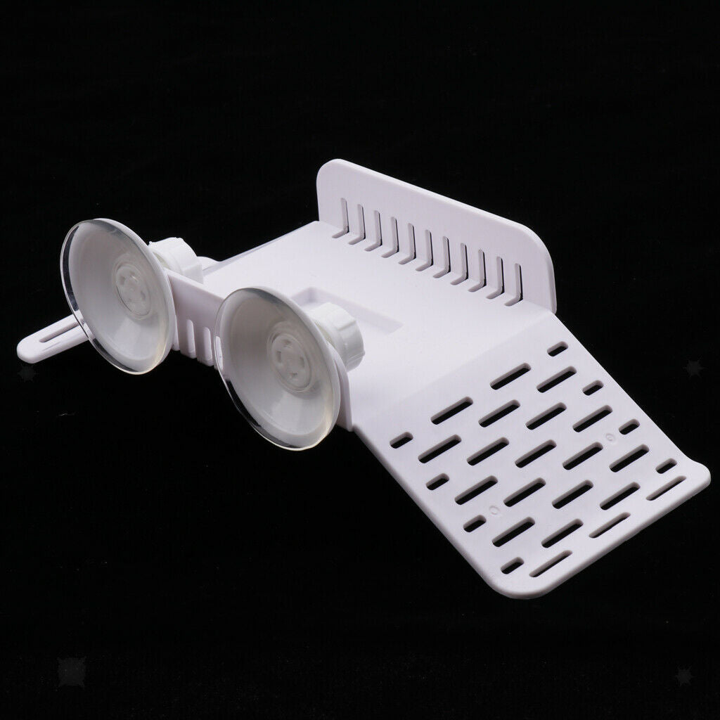 Turtle Pier, Plastic Tortoise Basking Platform for Semi Aquatic Animals - White