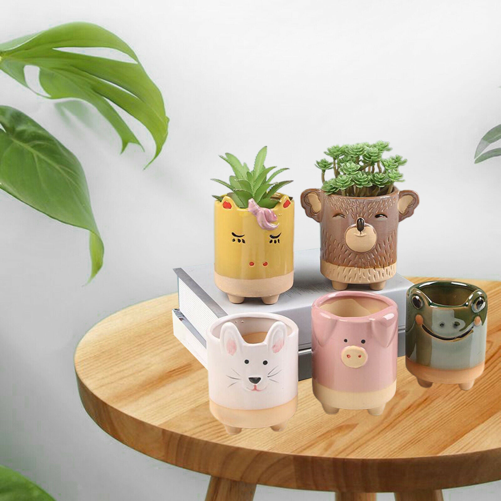 Creative Flower Pot Animal Shaped 5pcs Frog Pig Mini Green Plants for Home