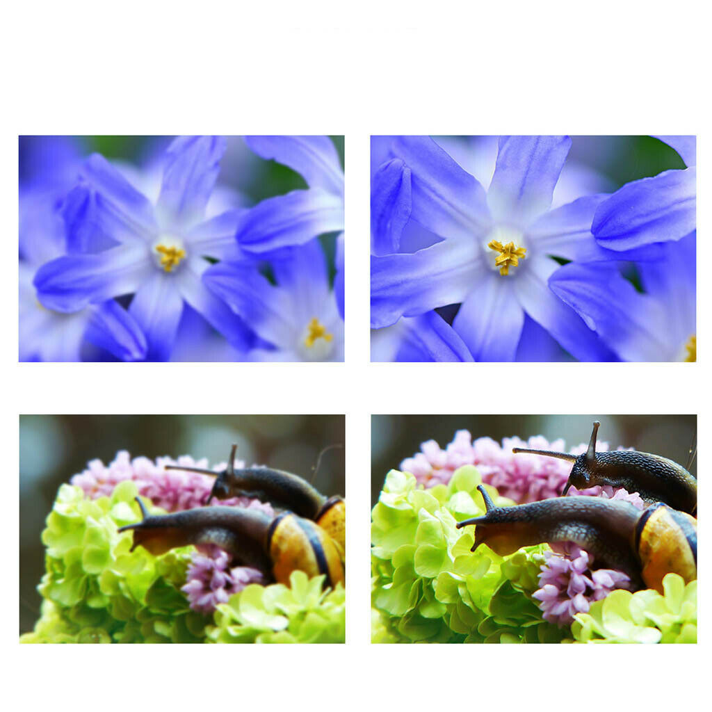 180 Degree  Lens 180 ° Wide Viewing Angle  Lens