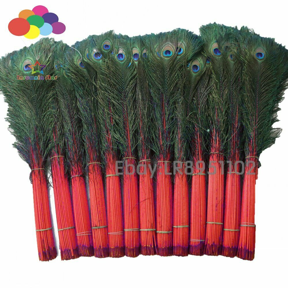 Red 100 pcs 28-32 inches/70-80 cm high quality natural peacock feather DIY Deco