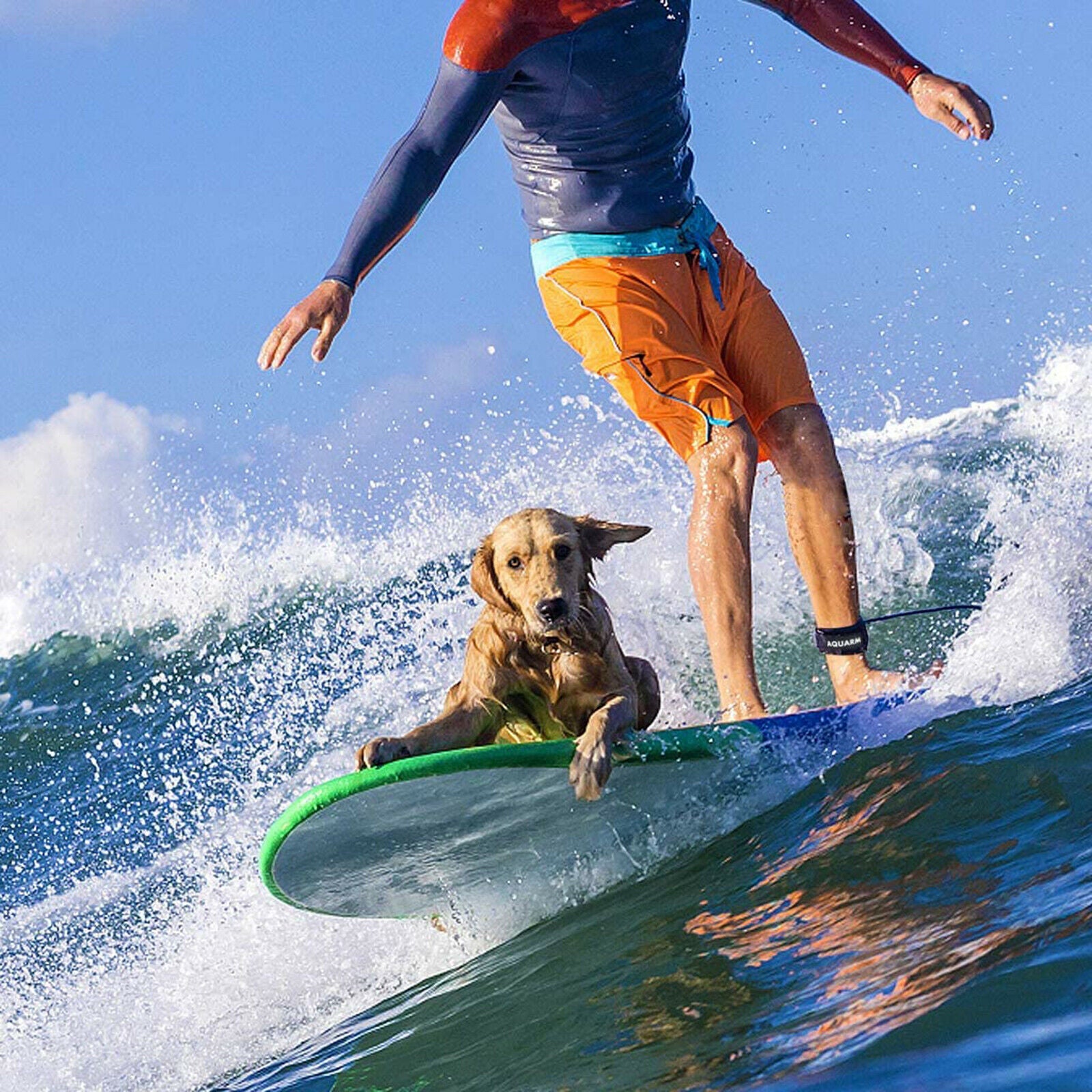 Surfing Ankle Leash Surfboard 10ft Stand Up Board Leg Rope SUPs Arm Wrists