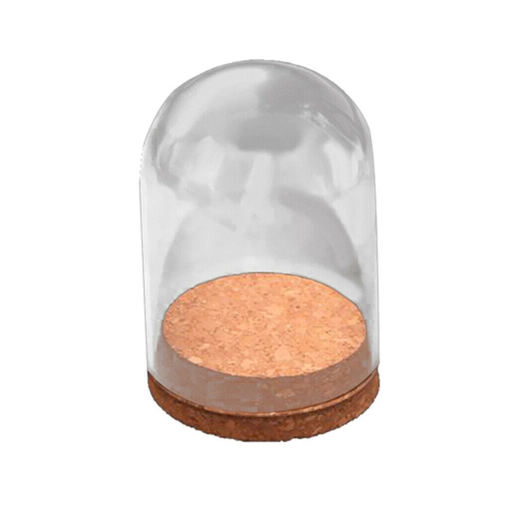 4" Cloche Display Dome Cover Jar Case w/ Wooden Base Hemisphere Bell Holder