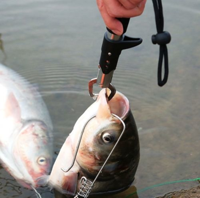 Portable Fish Fishing Lip Grip Gripper Hanging Scale Stainless &Sponge with 15kg