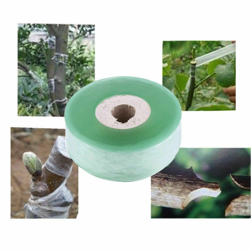 Green 100m Stretchable Clear Grafting Tape for Fruit Tree Soil Accessories