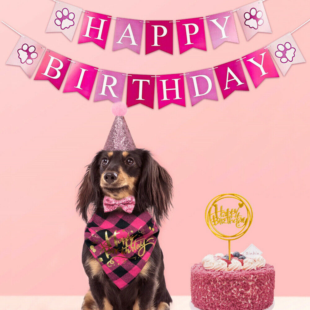 Pet Dog Happy Birthday Party Supplies Pink Themed Balloons Banner Hat Skirt