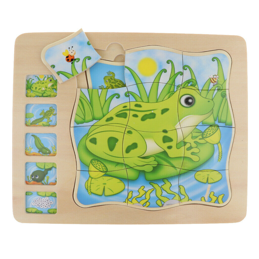 Frog Layer Puzzle, Wooden Stacking Puzzle, Children's Intelligence