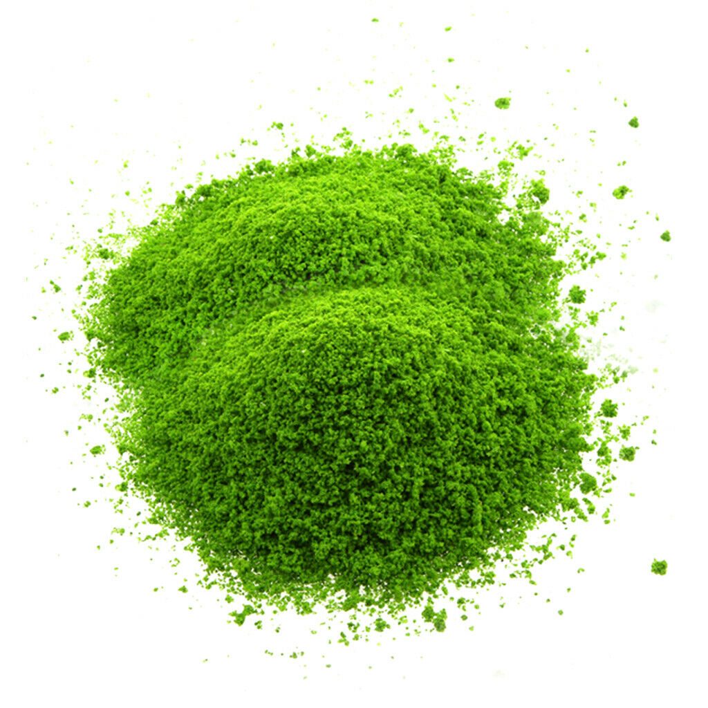 Light Green Grainy Shape Diy Foliage Sponge Leaves  Trees Pattern