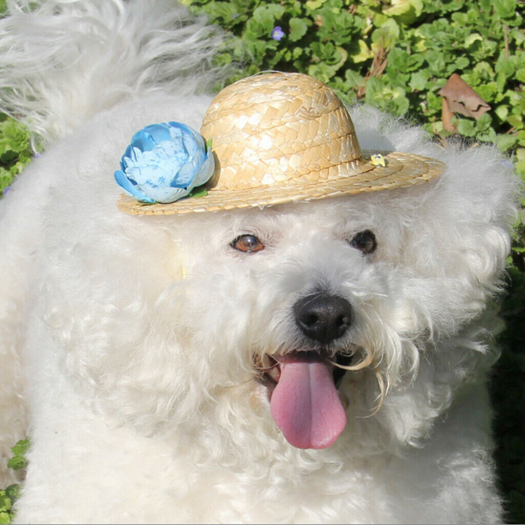 Pet Dog Cat Party Costume Accessory Straw Sombrero Hat Adjustable Buckle Denim M