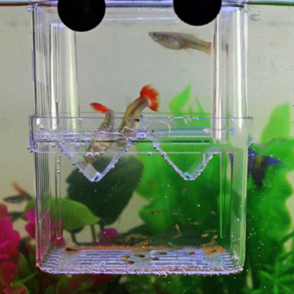 Clear Plastic   Hatchery Isolation Box   Tank Aquarium Incubator Box