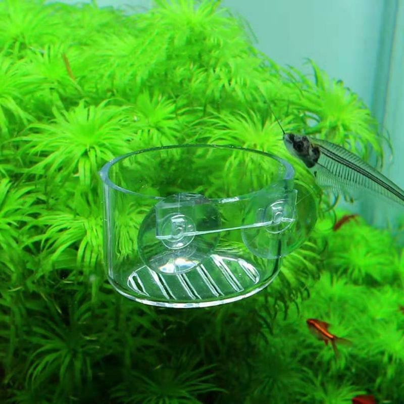2Pcs Aquarium Cone Red Worm Feeder Fish Feeding Cup Container Holder with Sucker