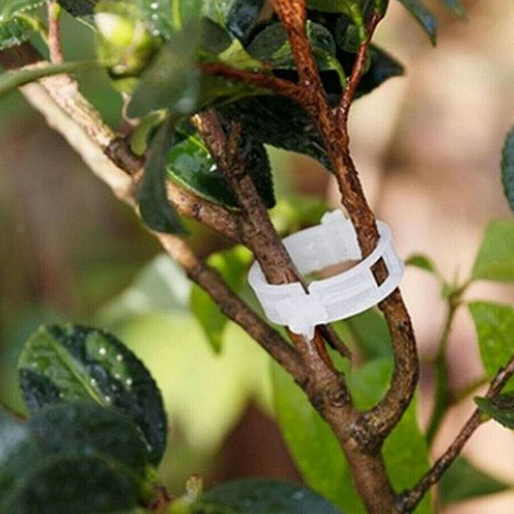 Set of 200 Plant Support Clips Tomato Twine Garden Planting Trellis Clips