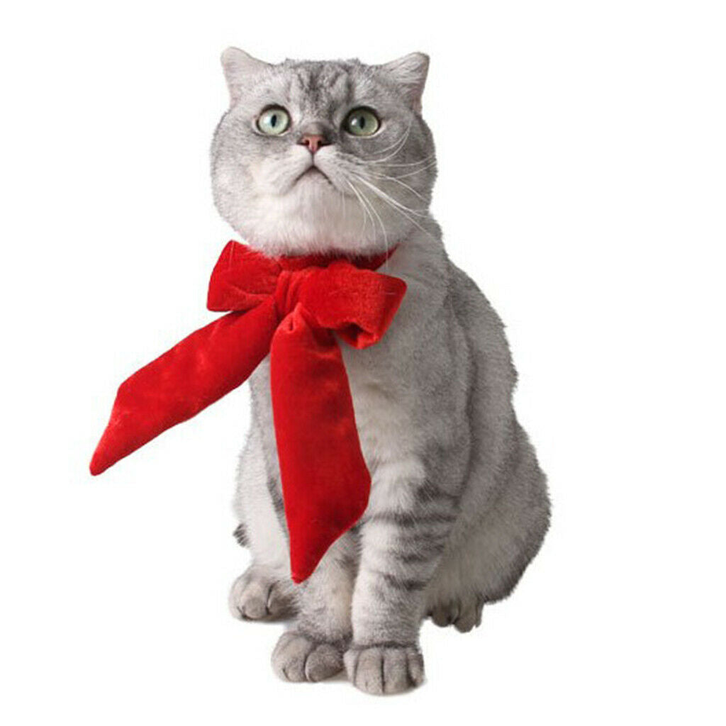 Dog Cat Big Bow Tie Adjustable Bowtie Necktie Collar Puppy Accessory Blue S