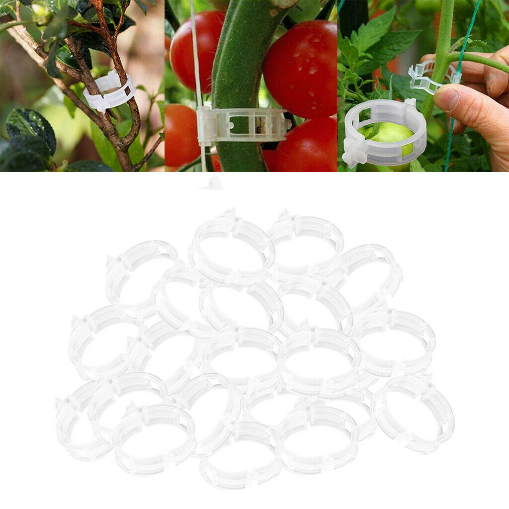 200x Plant Support Clips Tomato Trellis Grafting Clips Tomato Clamps Clips