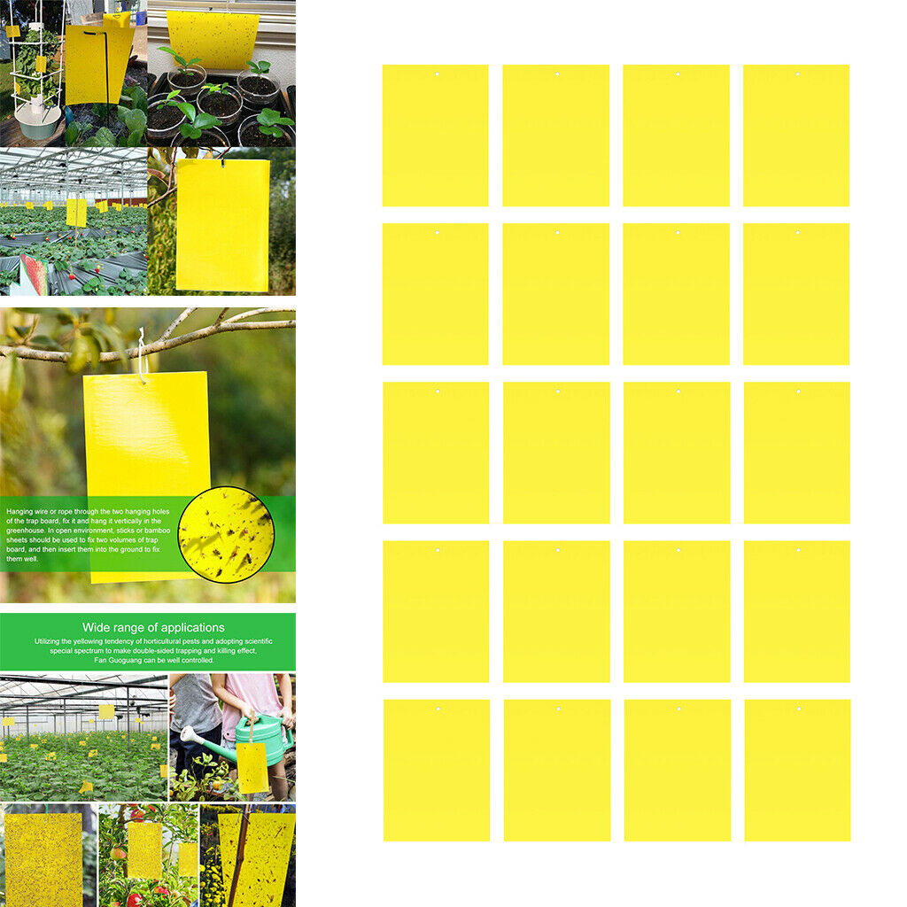 Double-Sided Sticky Traps 6x4 Inch for Indoor Outdoor Aphids 20pcs