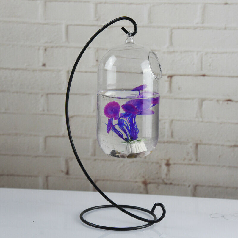 Hanging Glass Flower Vase Bottle Hydroponic Terrarium Container Home Decor L
