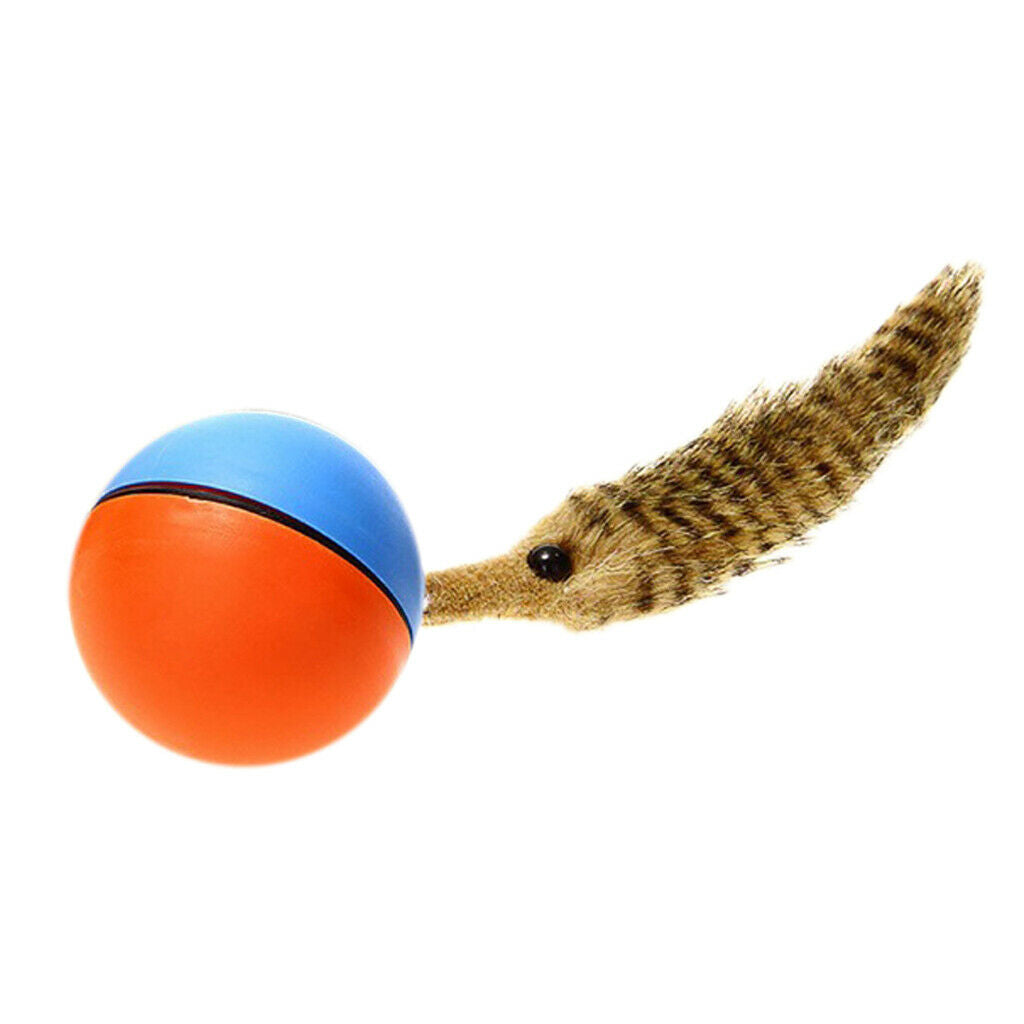 Pet Cat Teaser Toys Funny Pet Rolling Ball Training Toys For Kitty Playing