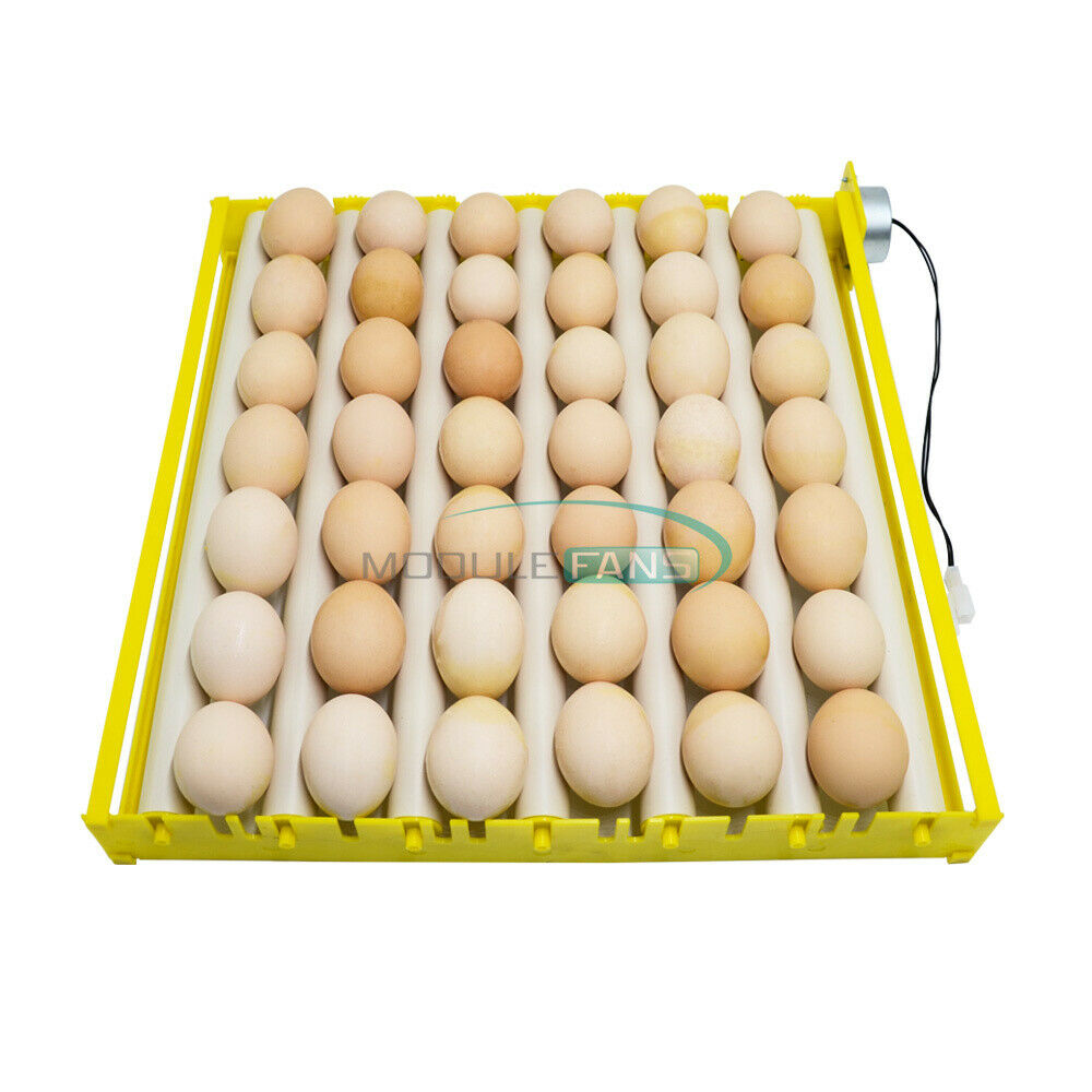 Egg Incubator Tray 360° Rotary Automatic Egg Turner Duck Goose Pigeon Quail