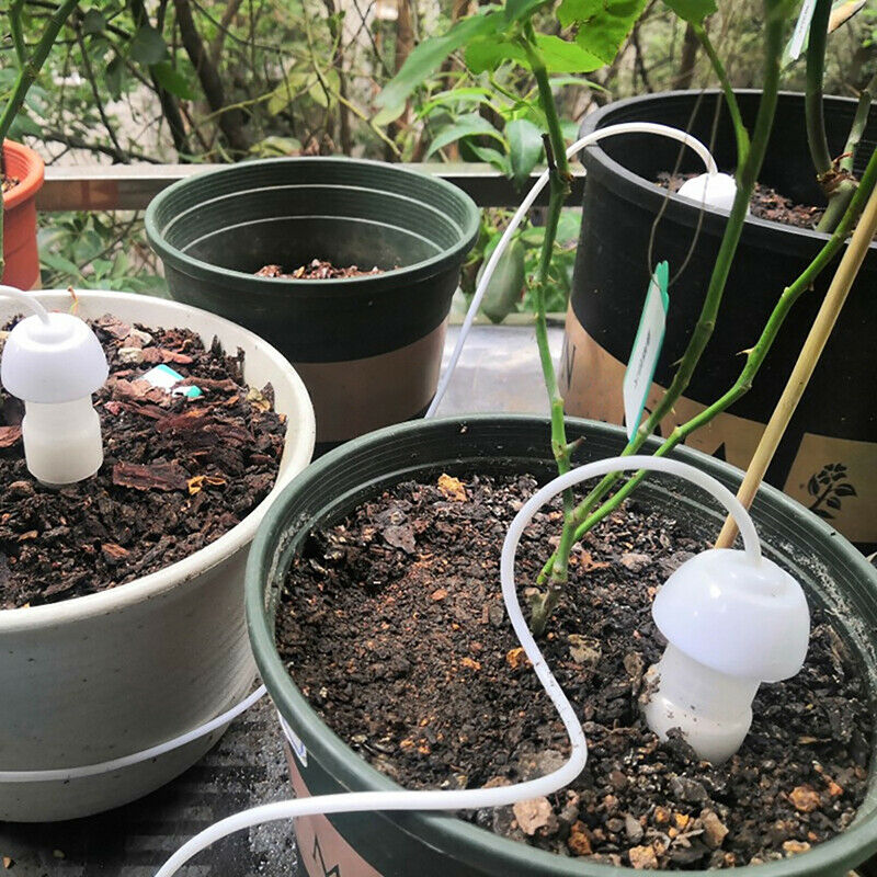 6Pcs Ceramic Self Watering Spikes Automatic Plants Drip Irrigation Water Sta TL