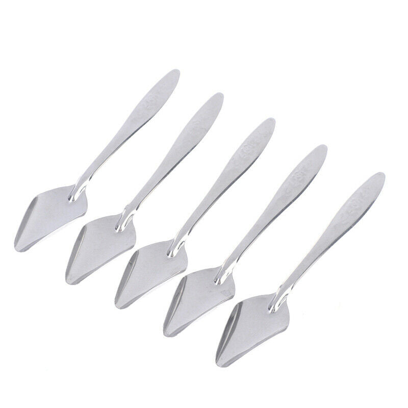 5Pc Baby Bird Pointed Feeding Spoon Stainless Steel Milk Medicine Parrot Fee CH