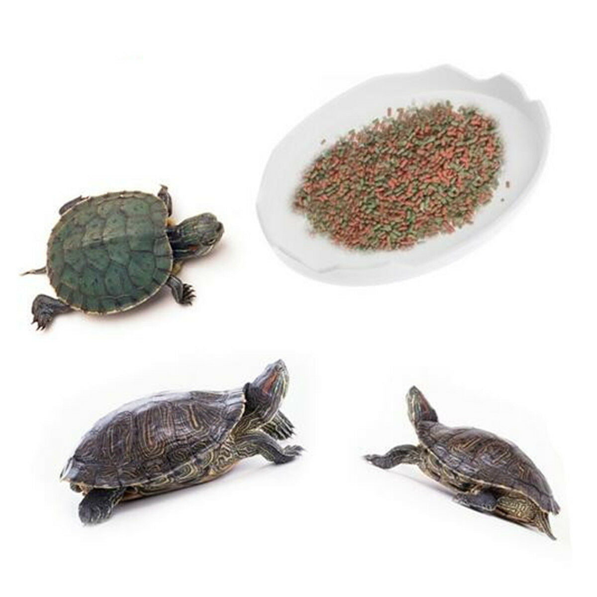 3X Reptile Water Dishes & Food Bowls for Turtle Tortoise Lizard Spider 80.5*60MM
