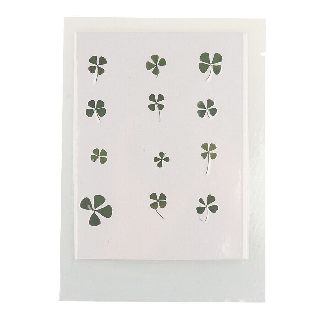 12Pcs Natrual Dried Flowers Leaves Embellishments Crafts for Phone Case