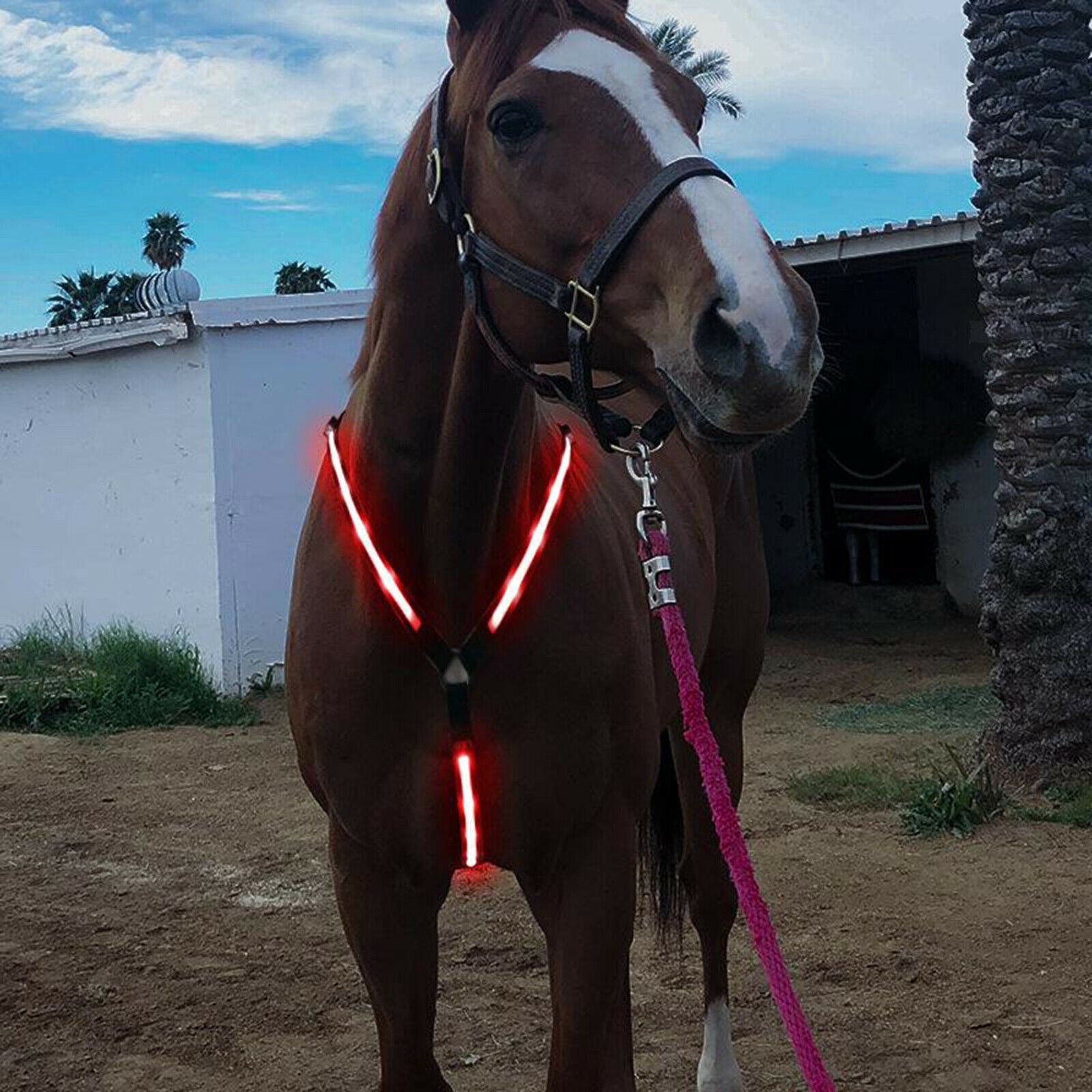 LED Horse Breastplate Collar Bridle Halter Night Neon Lights High Visibility