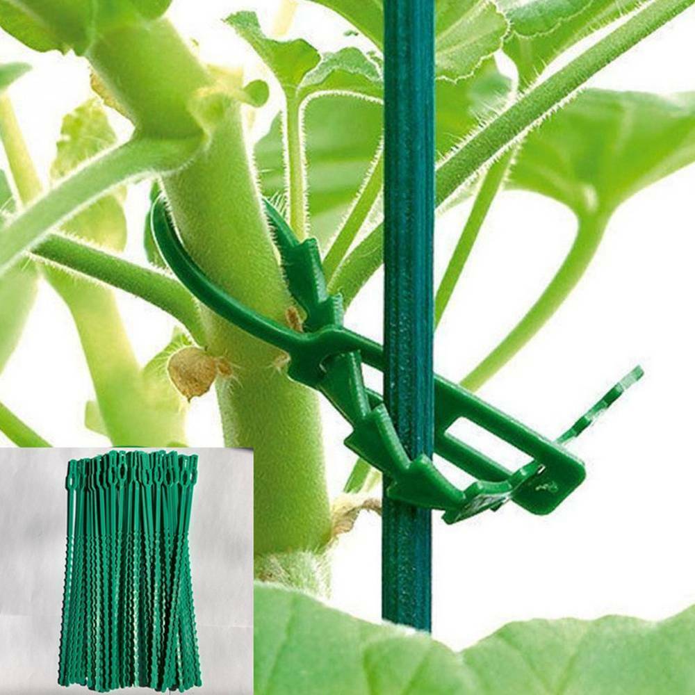 50*/Set Gardening Vine Climbing Cable Tie Lines Grape Flower Plant Support Green
