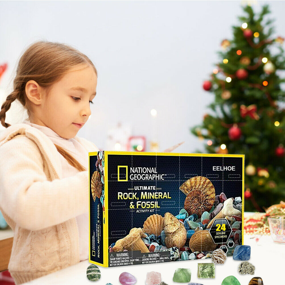 Christmas Advent Calendar Mineral Gift Box Funny Early Childhood Education Toys