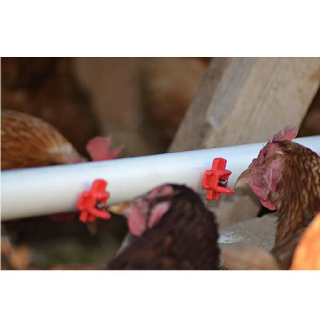 10Pcs Horizontal Side Chicken Watering Nipples 3x3x3cm For Poultry Chicken