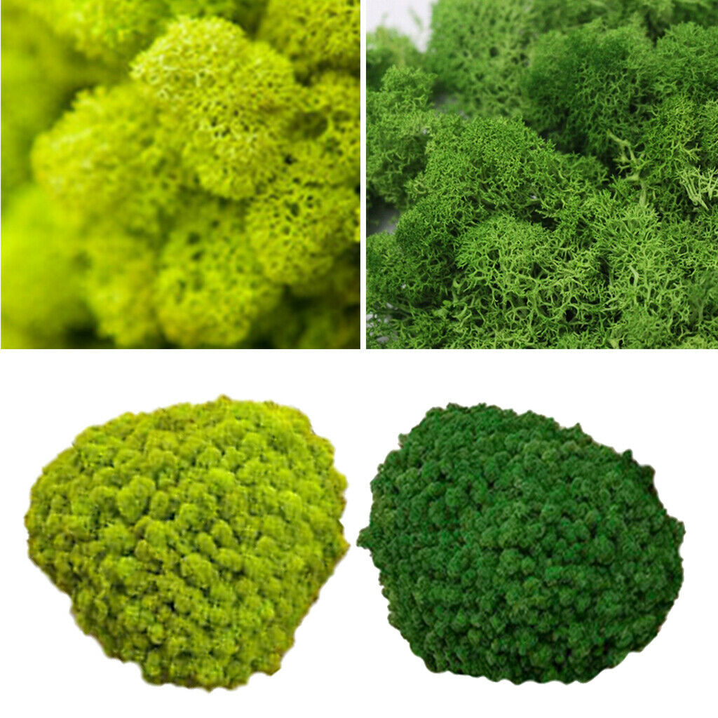 Set of 2 25g Wall Artificial Decorative Moss Ornaments for Bedroom Decor