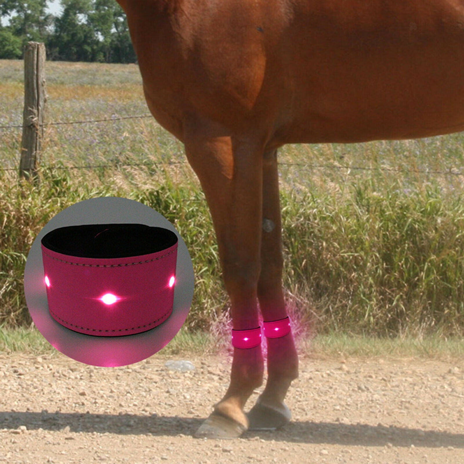 LED Luminous Horse Leg Strap Outdoor Lightweight Warning Belts Night Running