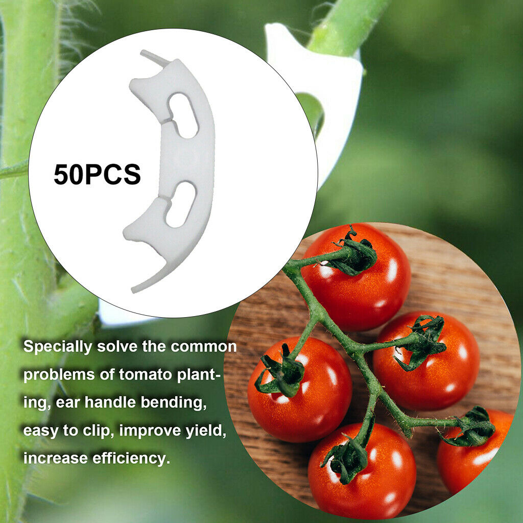 50Pack Plant Support Clips Clamp Stems Grafted Transplanting Retaining Clip