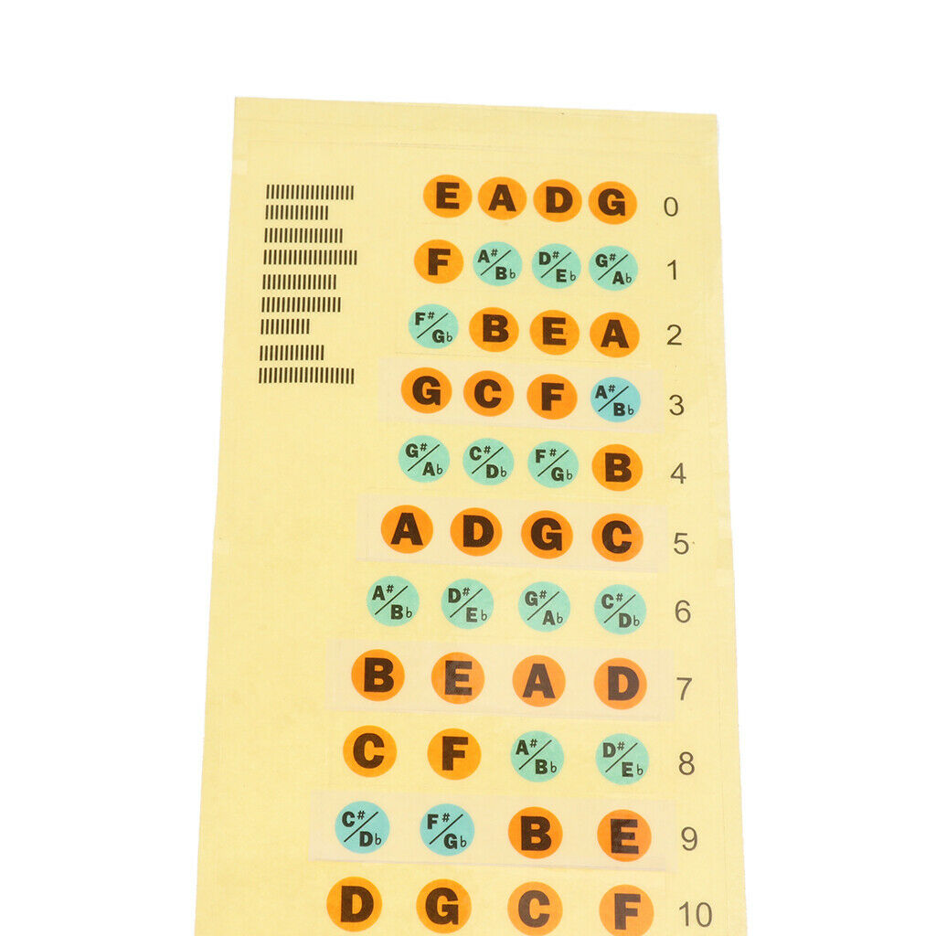 Fretboard Note Label Stiers Fingerboard Position Learning Aid For Bass