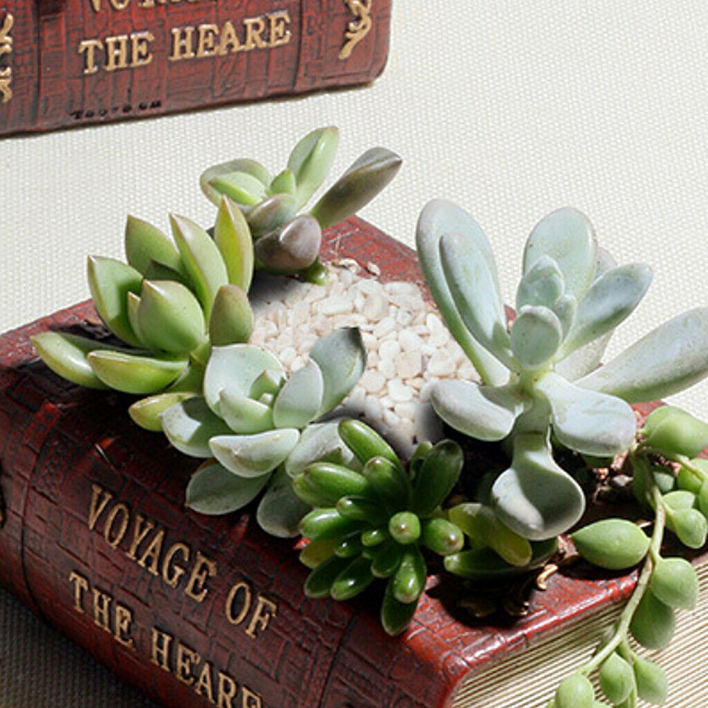 Succulent Pots Cactus Plant Pots Mini Flower Pots Book Shape,  for Indoor And