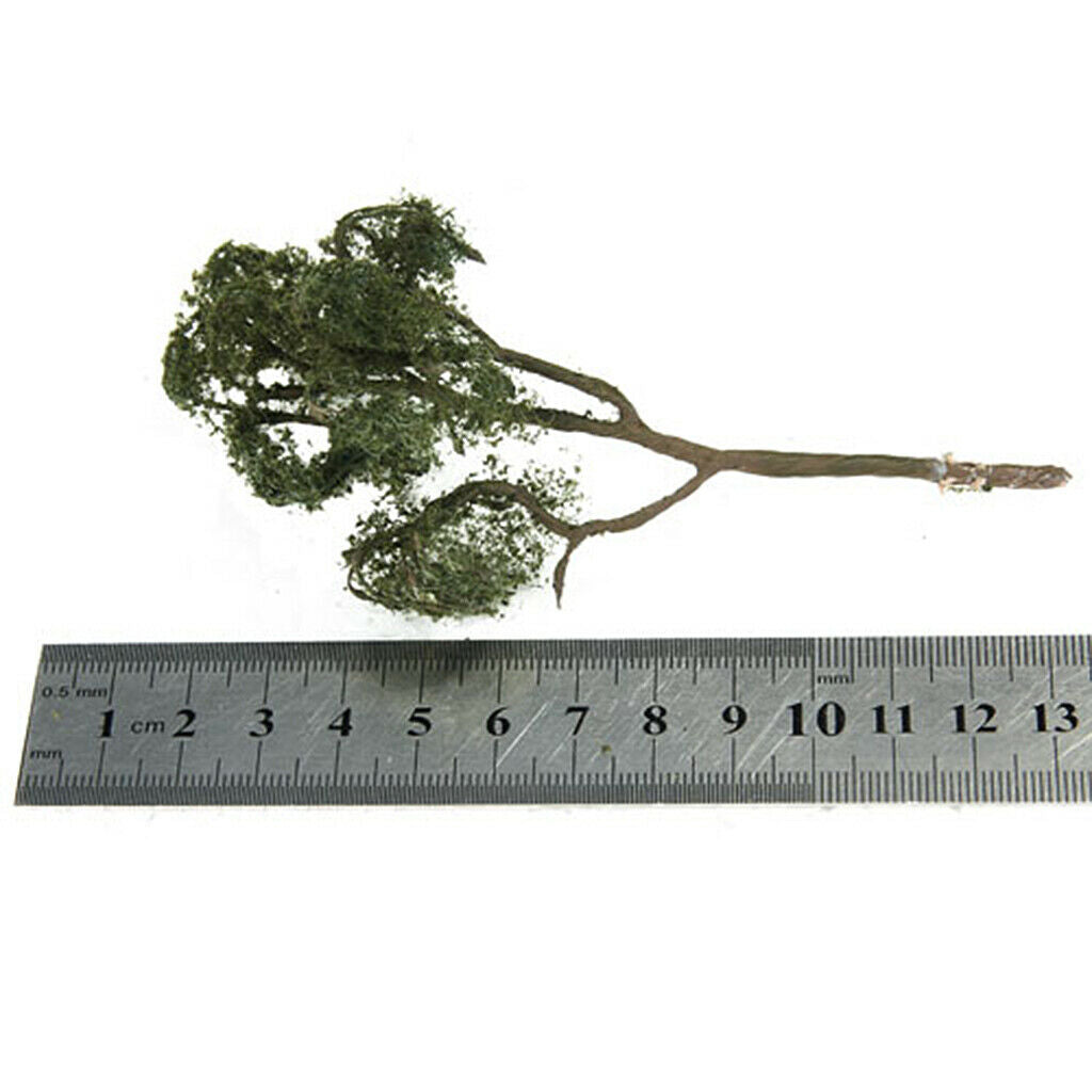 2x1: 75 Maple And Ash Trees, Tree Design, Tree Design, Garden