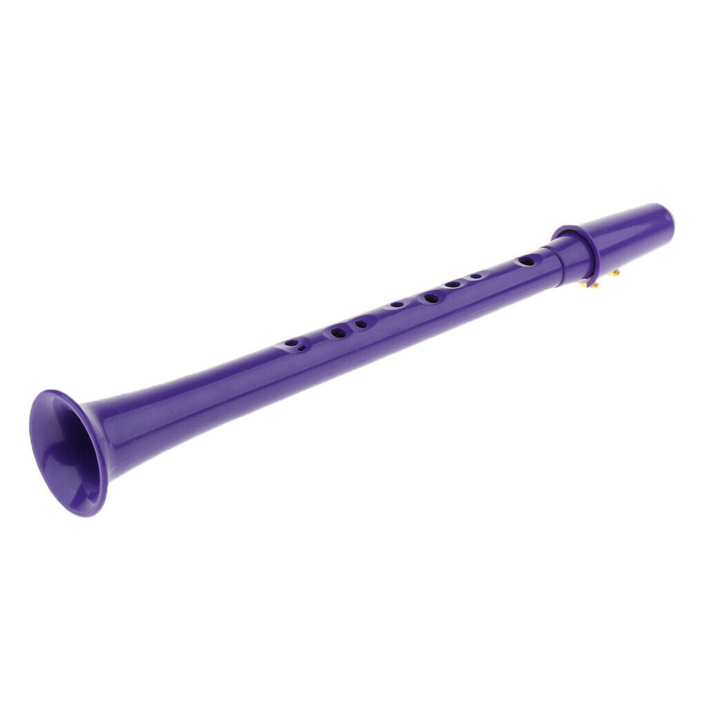 1 Piece Pocket Simple Mini Saxophone Clarinet Black Tube Instrument Purple