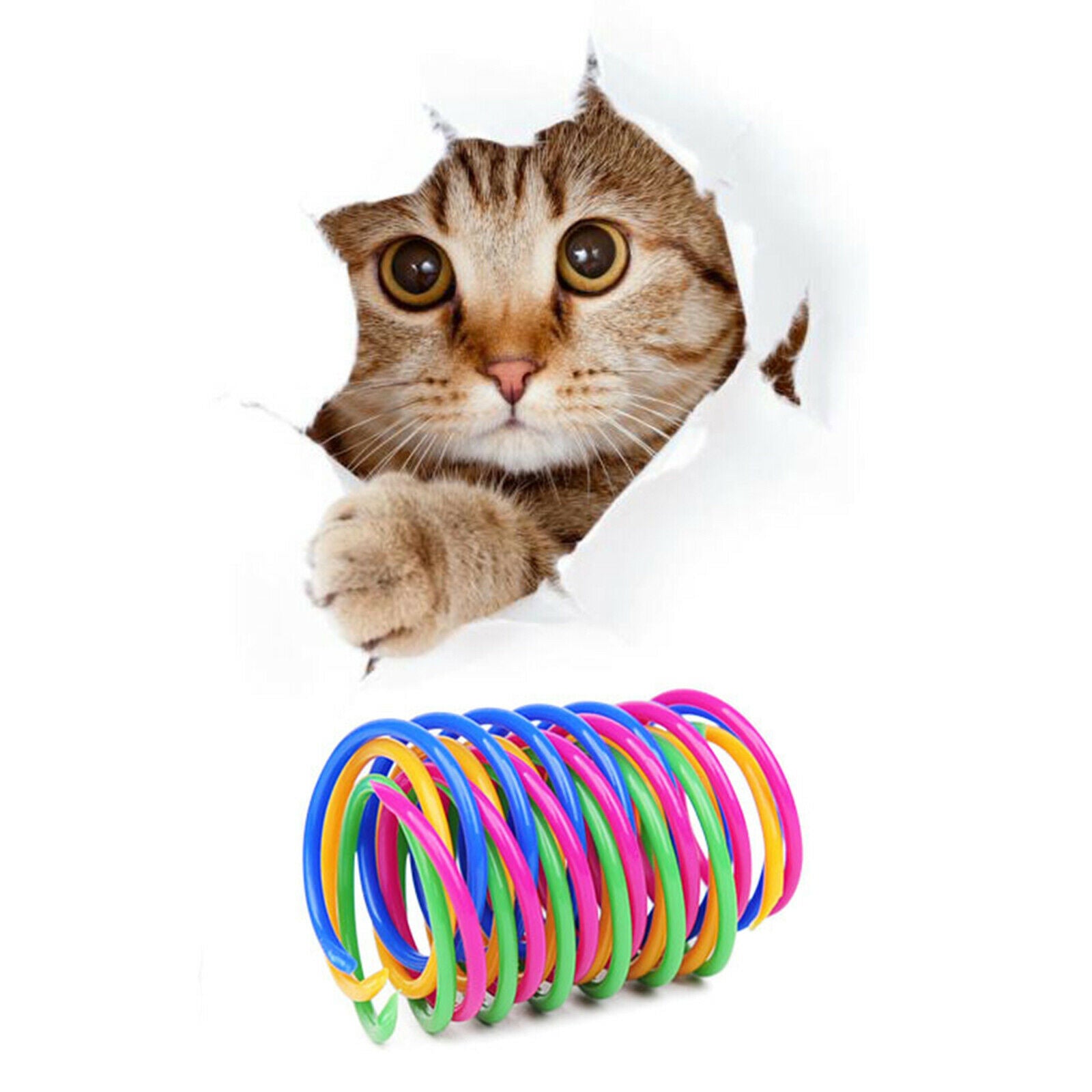 4x Cat Spring Toys Plastic Colorful Training Playing Pet Supplies Gifts