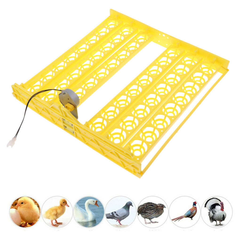 48-egg Automatic Egg Incubator Turner, Hatching Chicken Duck Goose Birds