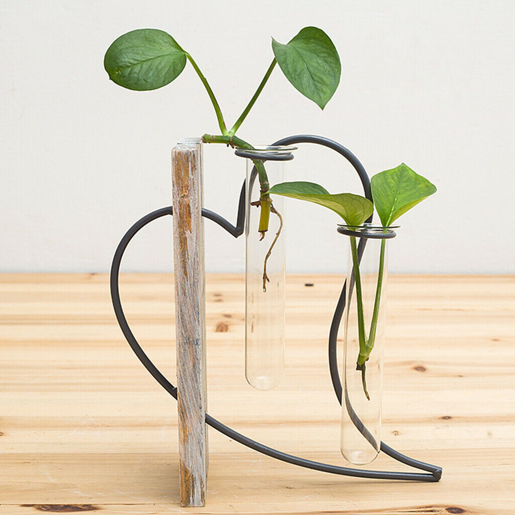 Flower Vase 2 Test Tube Plant Terrarium Centerpiece Planter Home Office
