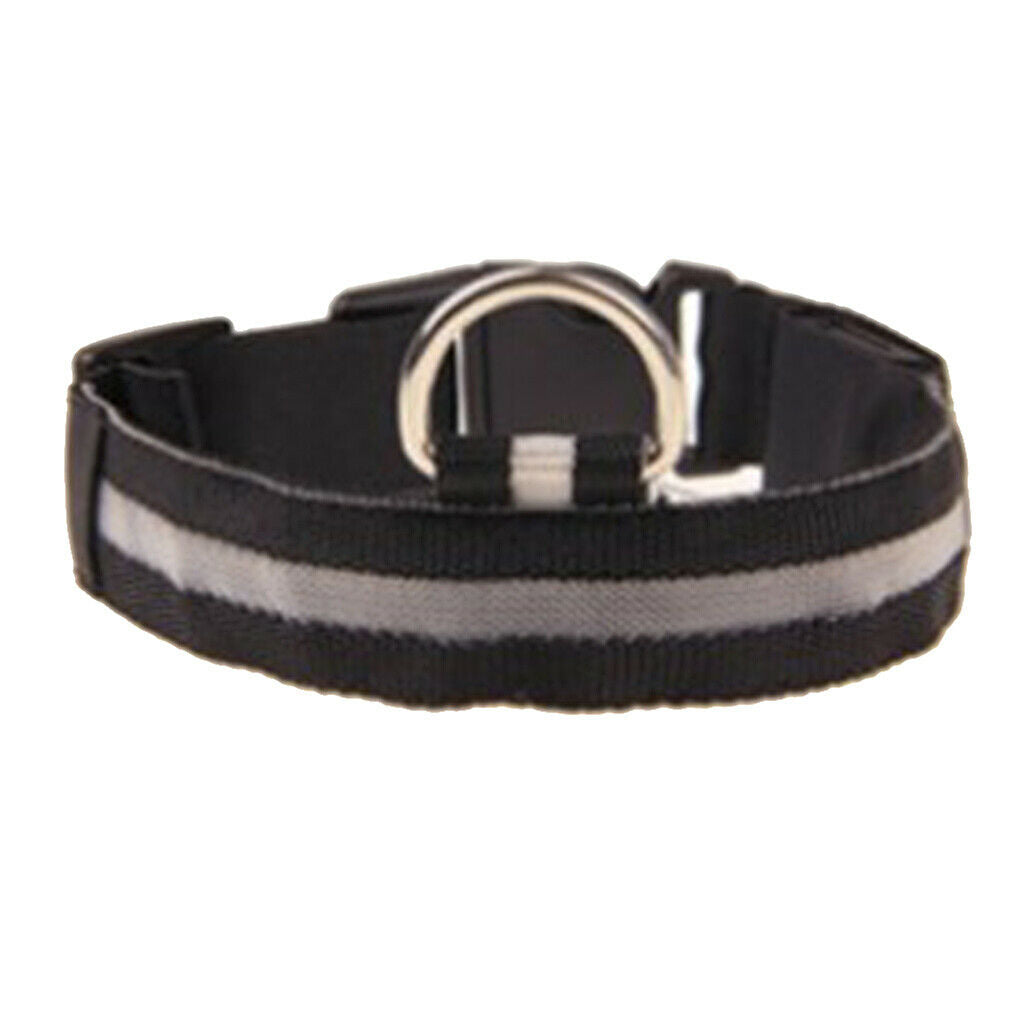 Pet Lighting Collar Light Up for Dog Puppy French Bulldog Husky Multicolor