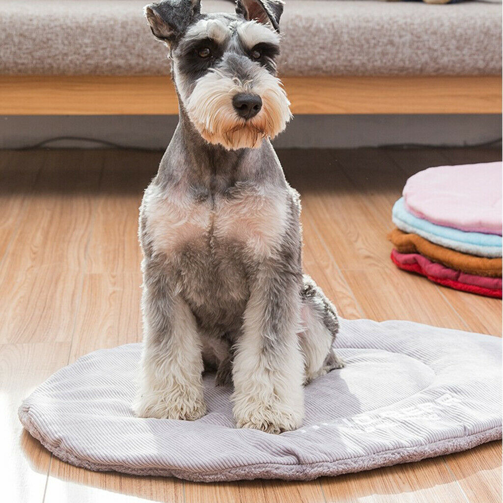 Machine Washable Dog Cushion Bed Air Conditioning Mat for Crates Red Wine S