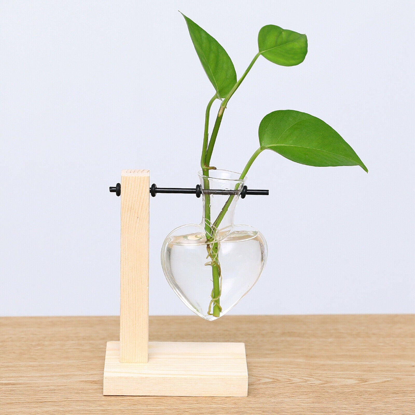 Glass Vase with Wooden Stand Frame for Hydroponics Plants Desktop