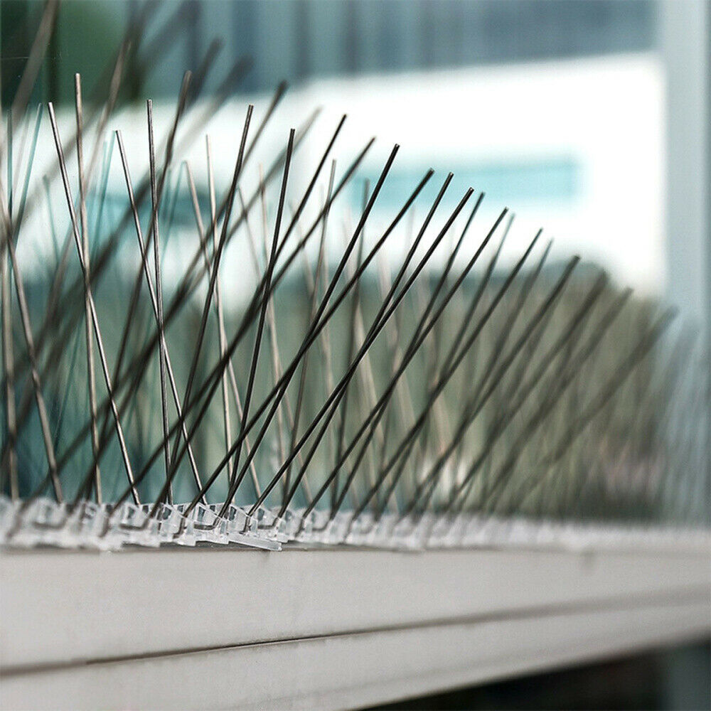 10 Feet Fence Wall Spike Anti-Bird Pigeon Repeller Deterrent Window Perch Pest