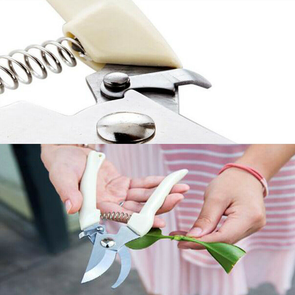 Steel Tree Cutter Gardening Pruning Shear Anti-Slip for Fruit Trees Orchard