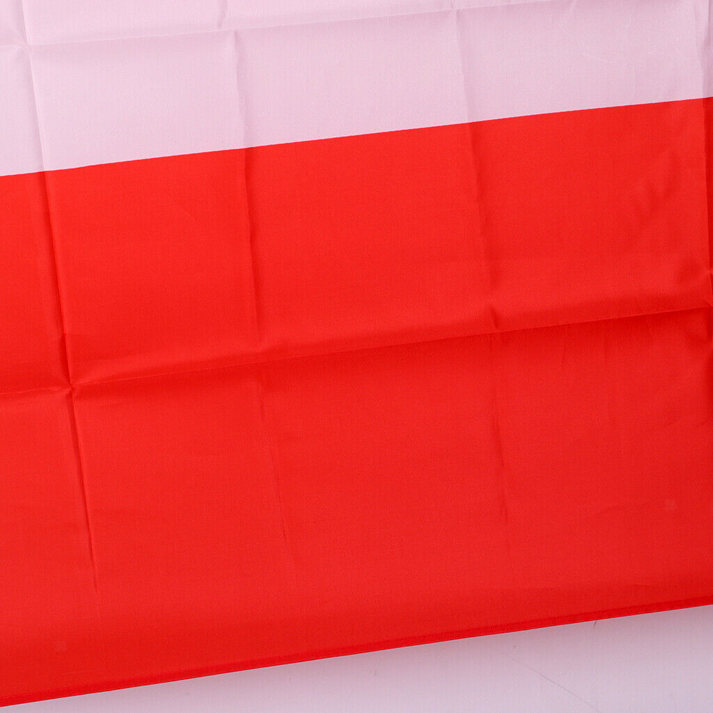 Country Large Flag National Banner Festival Decor Red White Denmark