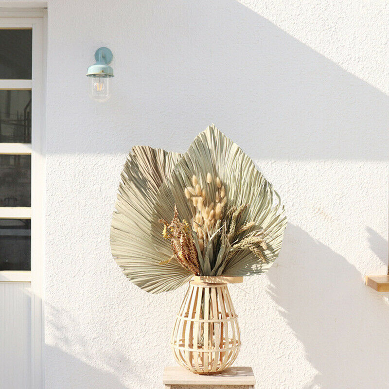Natural Dried Flower Palm Leaf Fan Plant Party Wall Hanging Wedding Decor DIY
